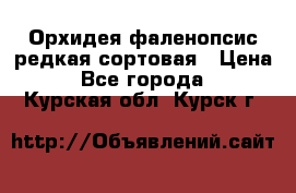 Орхидея фаленопсис редкая сортовая › Цена ­ 800 - Все города  »    . Курская обл.,Курск г.